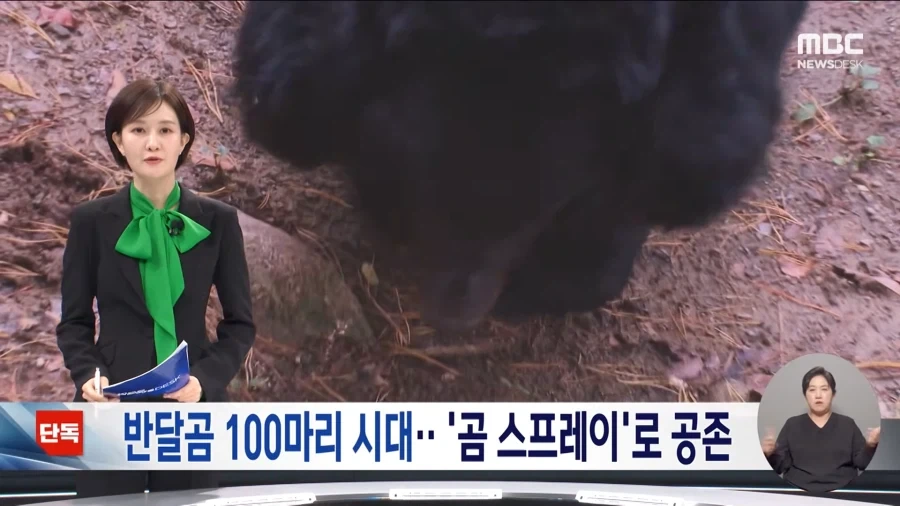 지리산에 반달곰 100마리나 있다고???