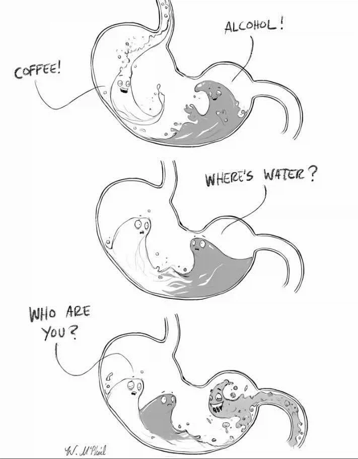 커피! 알코올!