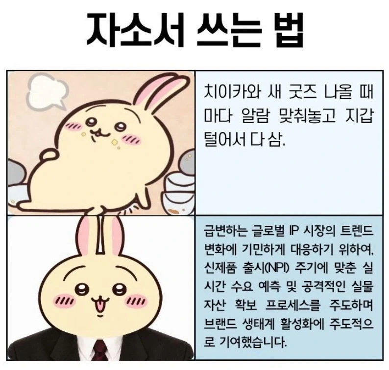 자소서 쓰는 법 - 이미지 2