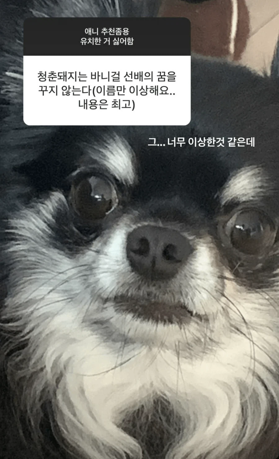 애니 추천받은 러블리즈 서지수.jpg - 이미지 2
