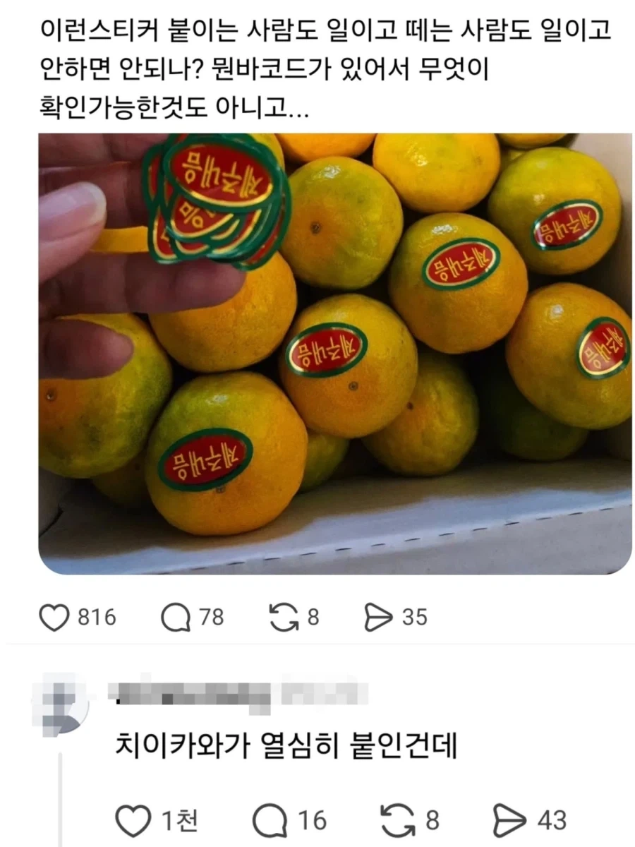 의외로 치이카와가 하는 일.jpg