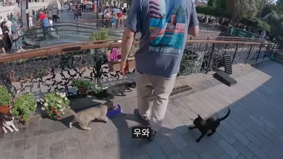 튀르키예 공원에 비둘기가 없는 이유.jpg - 이미지 6