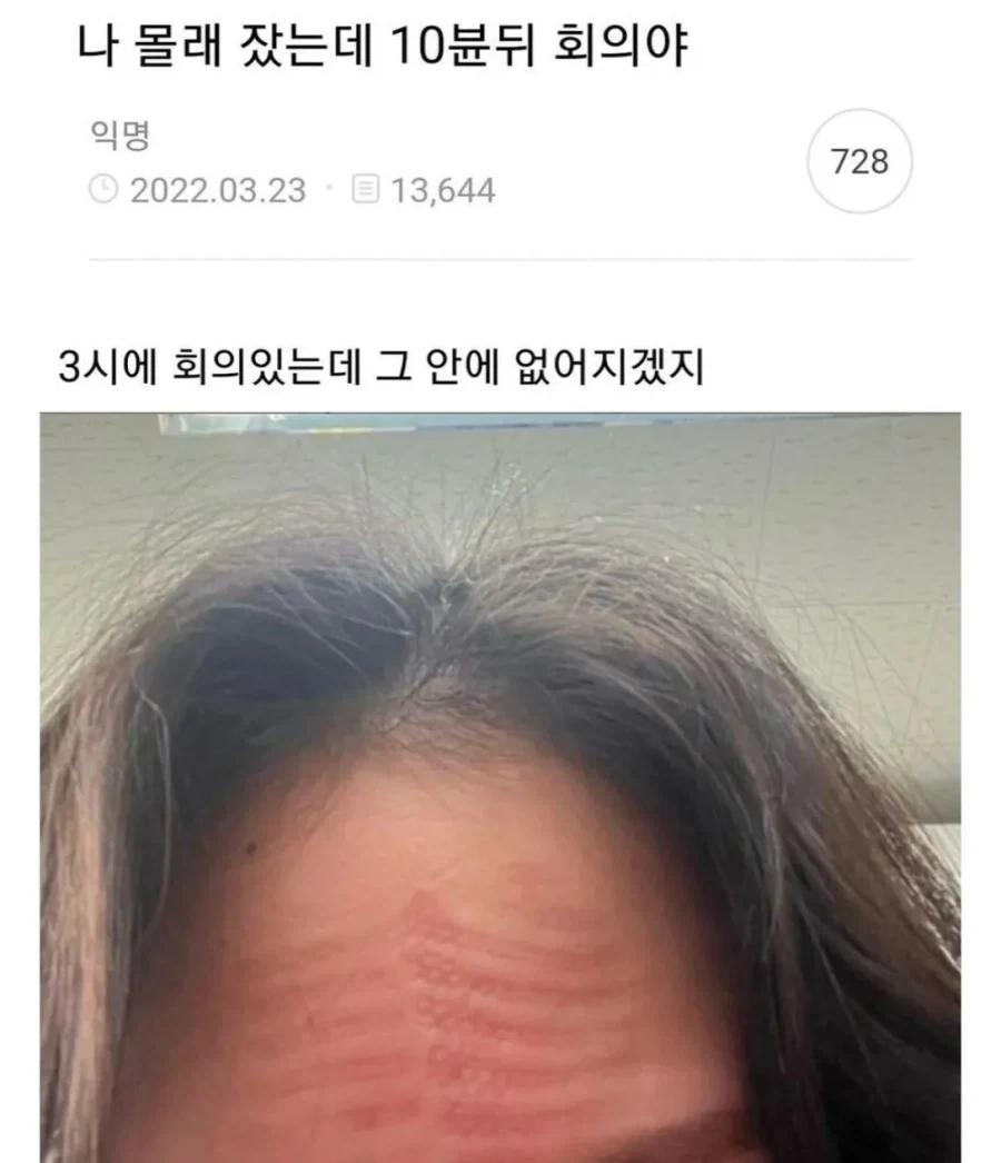 회사에서 개꿀잠 자버린 여자