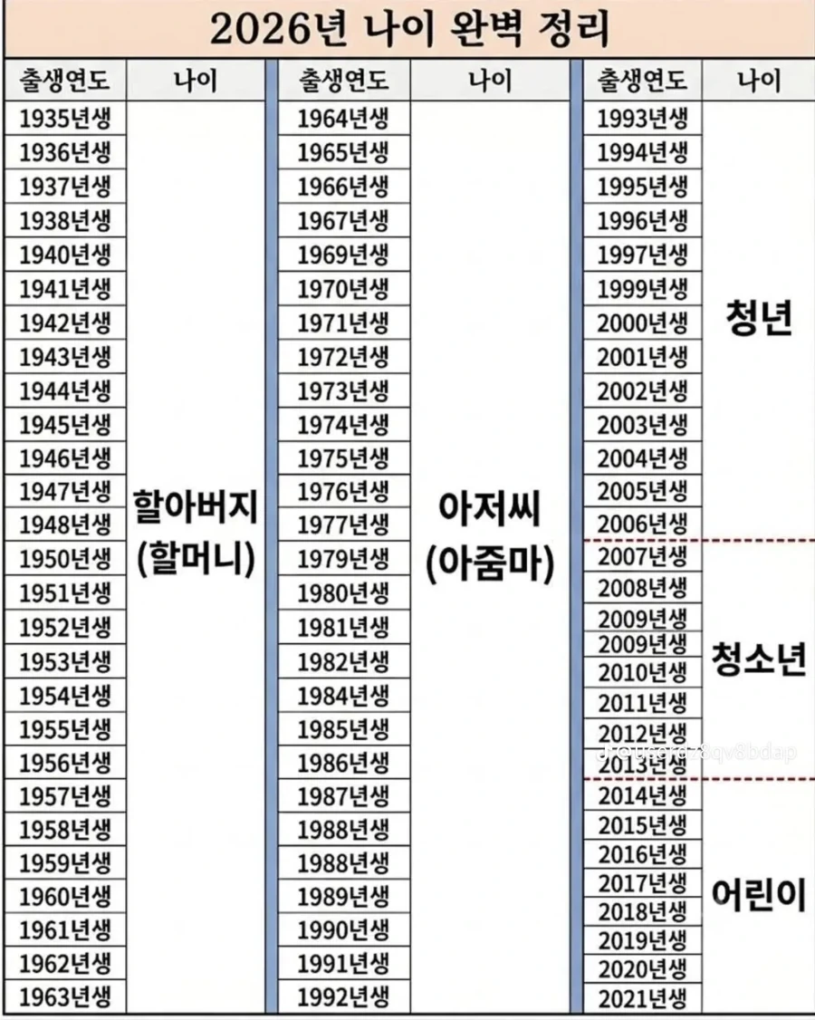 93년생이 만든듯한 나이표