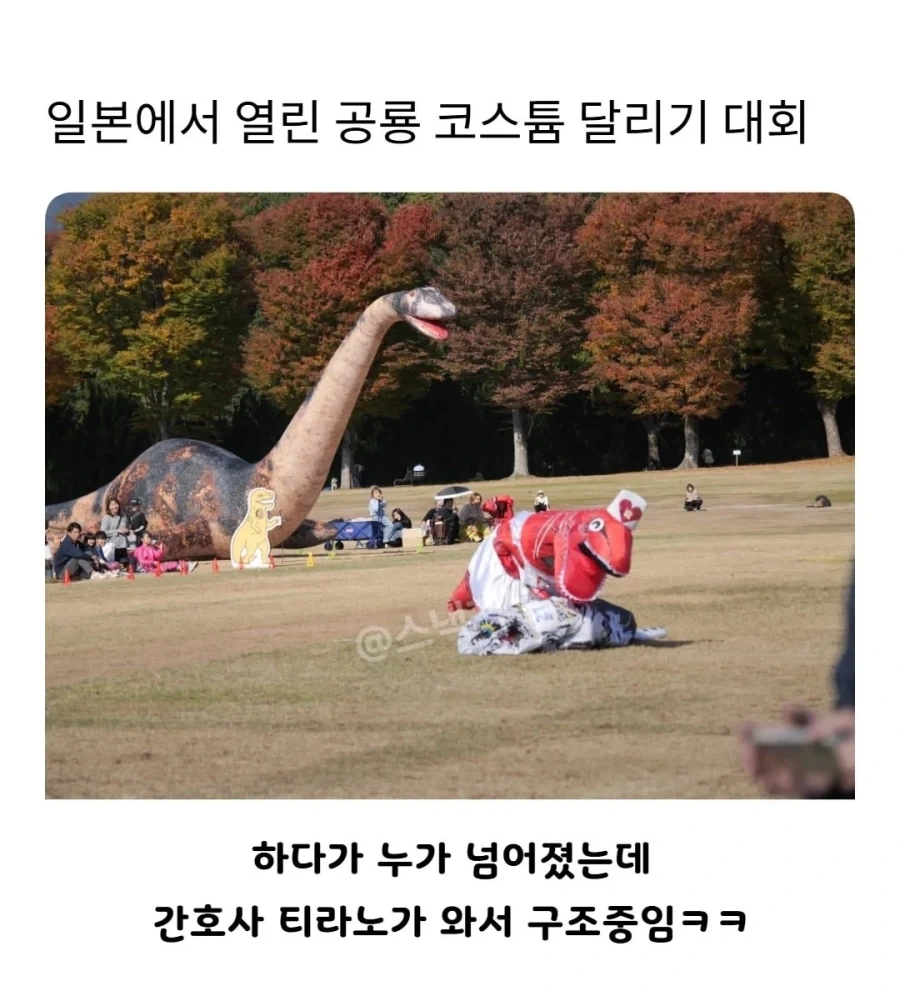 왜? 다친겁니크아아아앙