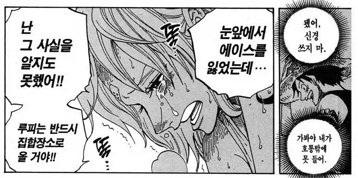 원피스에서 루피 걱정을 제일 많이하는 동료