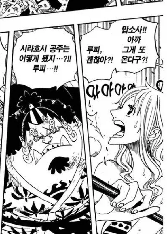 원피스에서 루피 걱정을 제일 많이하는 동료 - 이미지 3