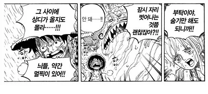 원피스에서 루피 걱정을 제일 많이하는 동료 - 이미지 7