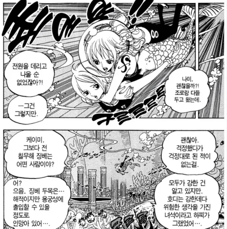 원피스에서 루피 걱정을 제일 많이하는 동료 - 이미지 8