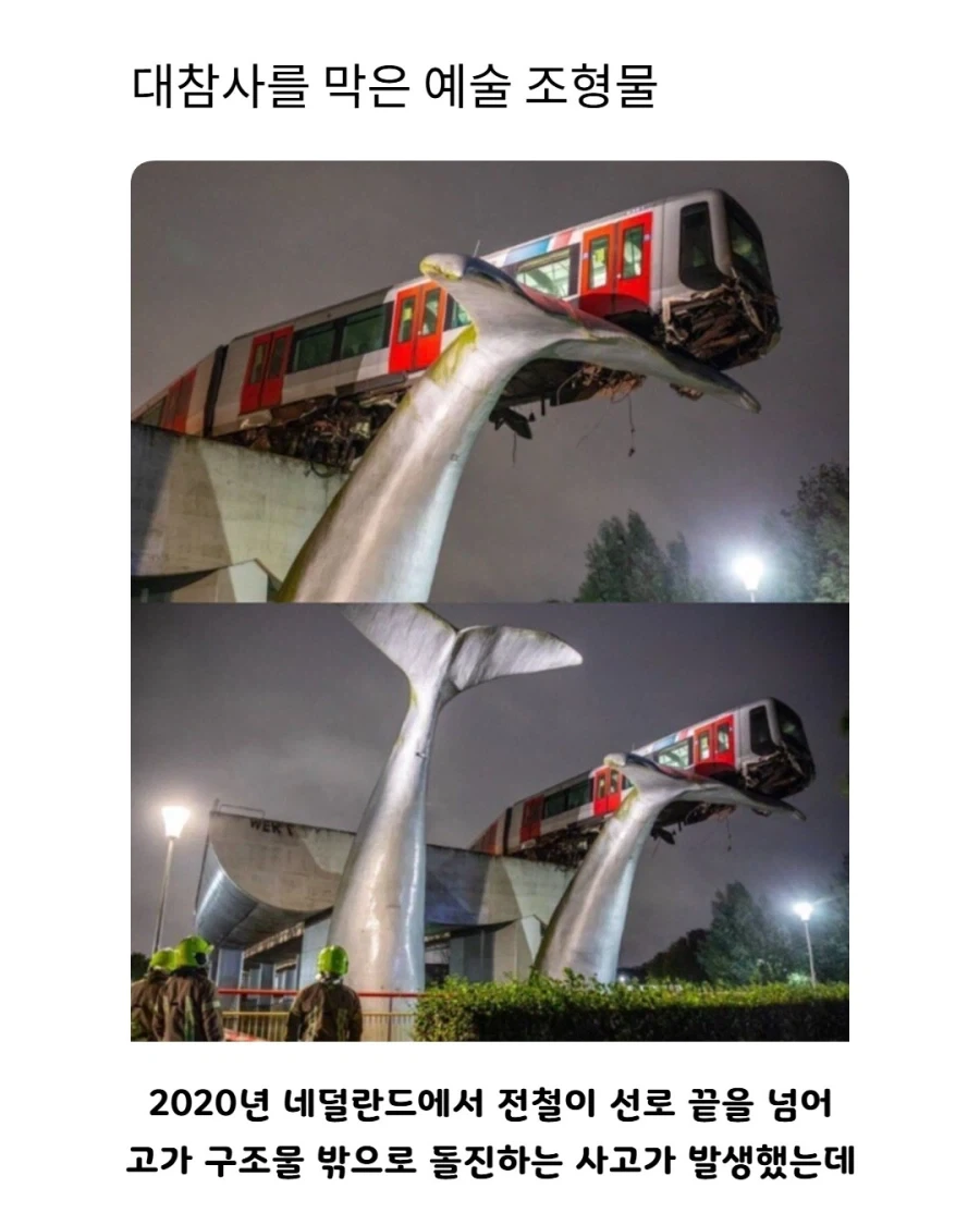 대참사를 막은 고래!