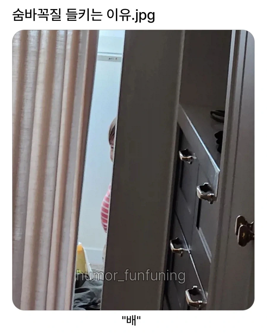 아이가 숨바꼭질을 들키는 이유