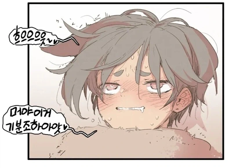 좌빨이란말이 존나 웃긴 이유