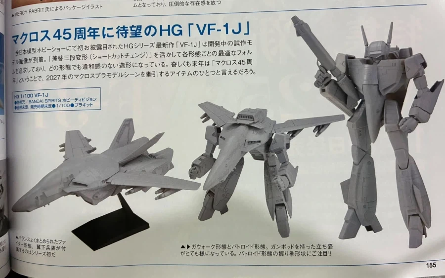 HG 1/100 마크로스 VF-1J 원형