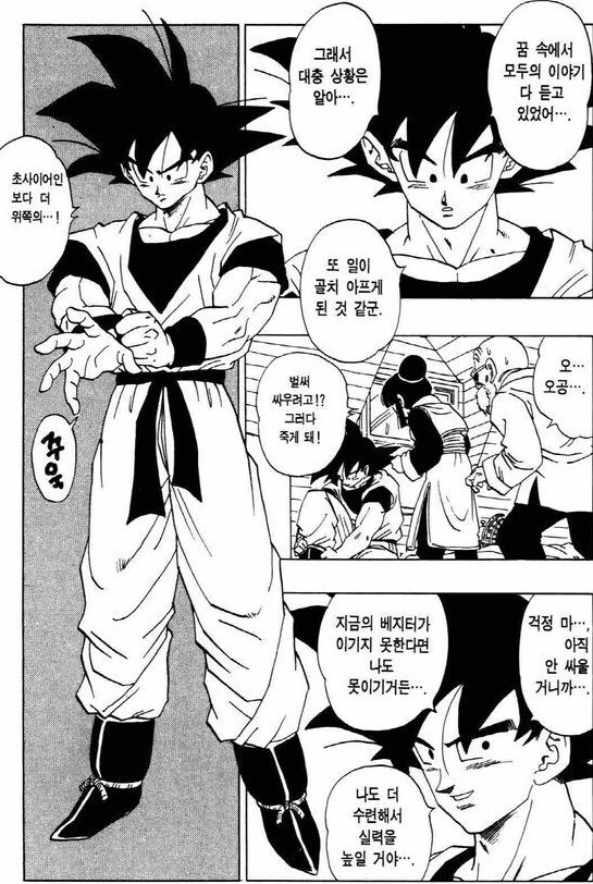 드래곤볼)오공이 현타왔던 순간