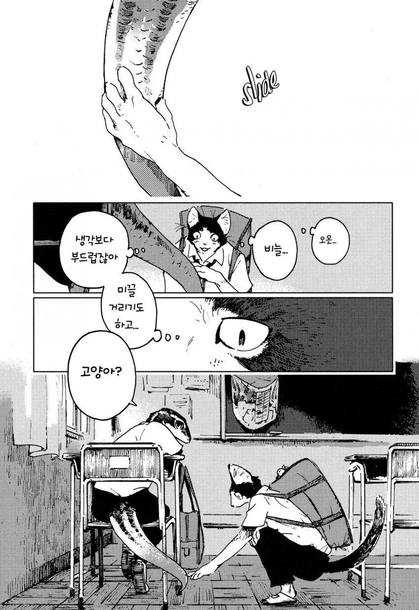 호모 모호] 퍼리] 카짓이 친구 만드는 만화 - 이미지 5
