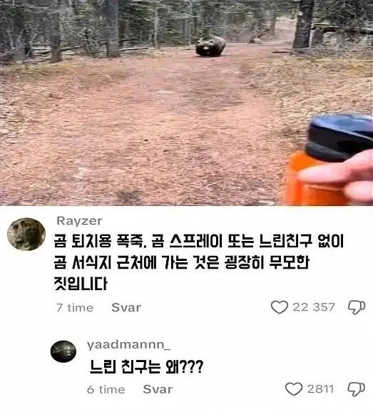 곰 스프레이와 동등한 효과의 아이템