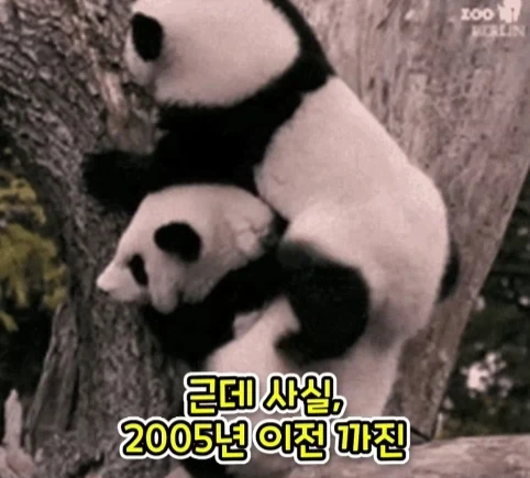 겨우 247m 밖에 안되는 산을 오르는게 힘들었던 이유.jpg - 이미지 5