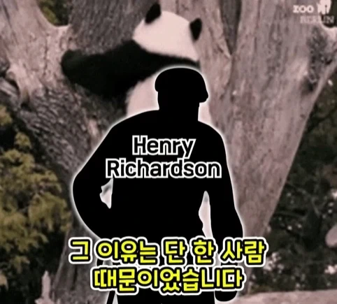 겨우 247m 밖에 안되는 산을 오르는게 힘들었던 이유.jpg - 이미지 7