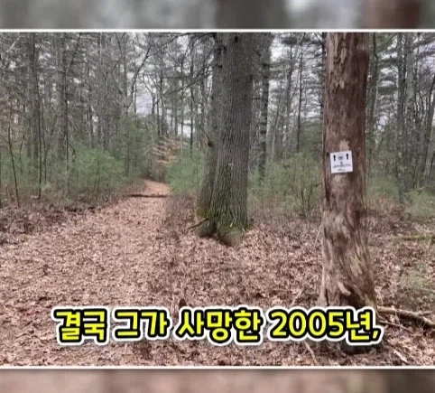 겨우 247m 밖에 안되는 산을 오르는게 힘들었던 이유.jpg - 이미지 17