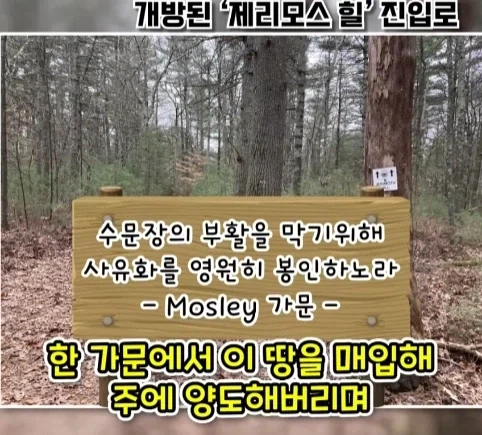 겨우 247m 밖에 안되는 산을 오르는게 힘들었던 이유.jpg - 이미지 18