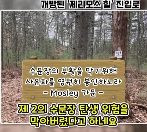 겨우 247m 밖에 안되는 산을 오르는게 힘들었던 이유.jpg - 이미지 19