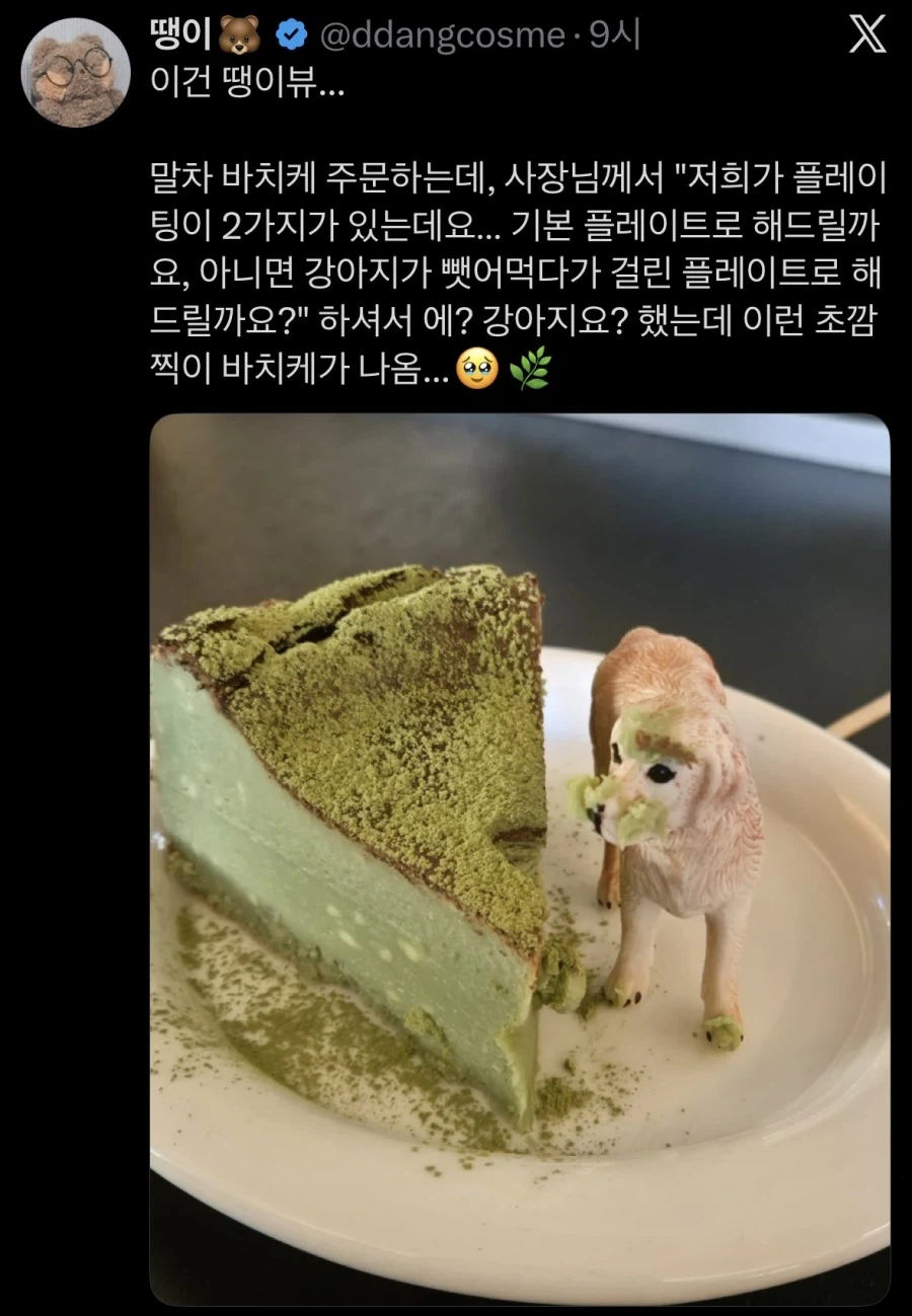 강아지가 뺏어먹다가 걸린 플레이팅