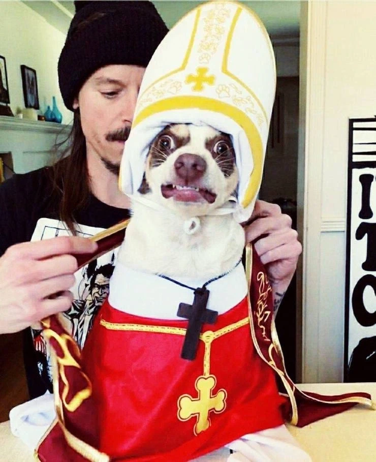 ???: 피고! 고양이! 판결은… 사형! 사형! 사형! 사형! 사형!