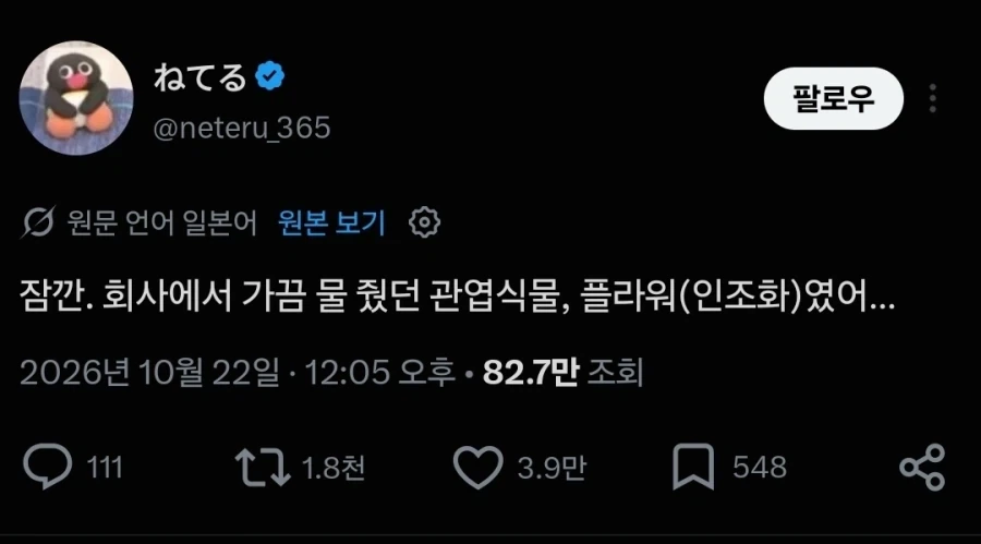 회사에서 화분에 물주고 대참사