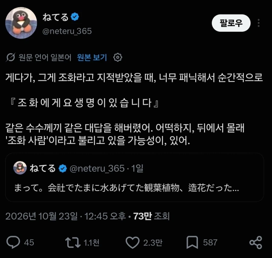 회사에서 화분에 물주고 대참사 - 이미지 2