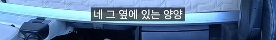 화물기사를 양양까지 오게 만드는 방법 ㄷㄷ - 이미지 7