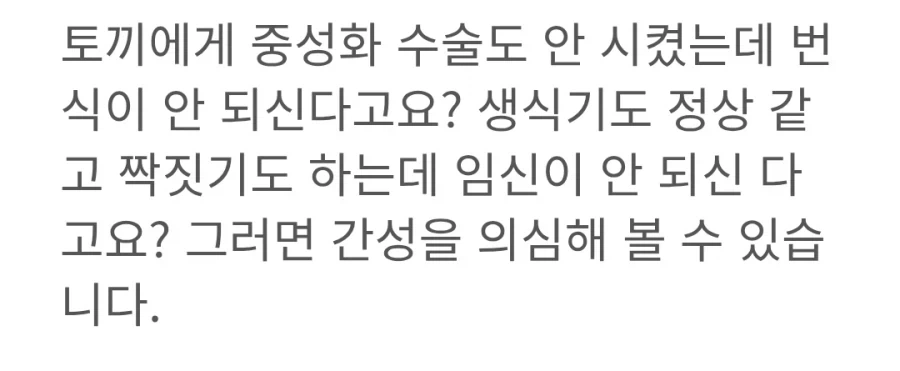 임신이 안되는 토끼