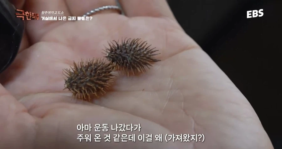 극한직업: 여자교도소 - 이미지 28