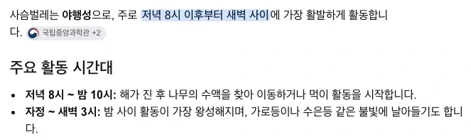붉은사막) 현실성 진짜... - 이미지 2
