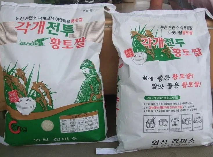 사펑엣지러너) 이 작품의 가장 큰 문제점