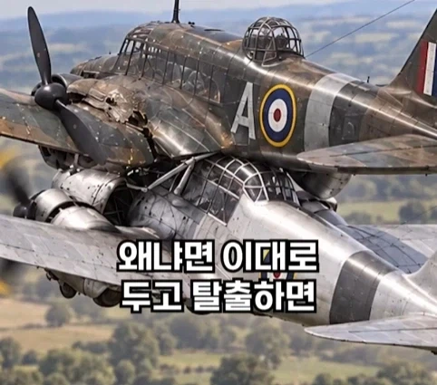 1940년 호주에서 일어난 비행기 두대가 합체한 사건.jpg - 이미지 31