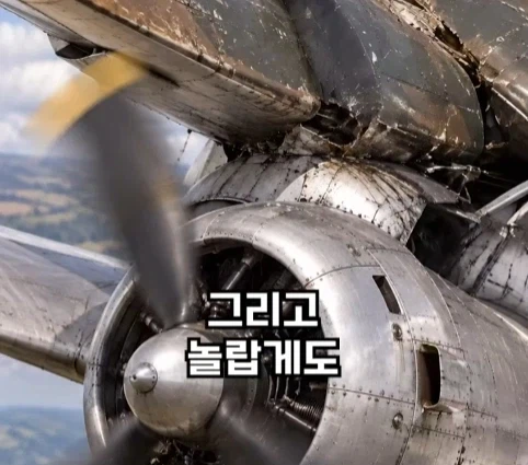 1940년 호주에서 일어난 비행기 두대가 합체한 사건.jpg - 이미지 34