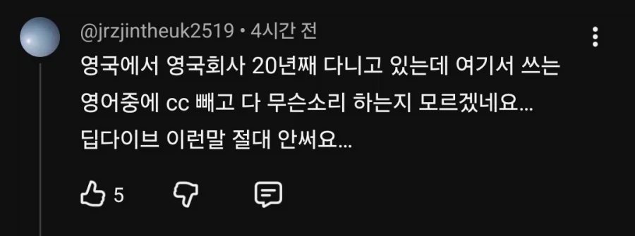판교 사투리에 대한 교포들의 지적 댓 ㅋㅋ - 이미지 5