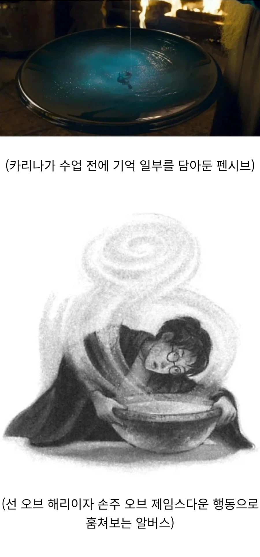 해리포터) "카리나 말포이의 최악의 기억" - 이미지 6