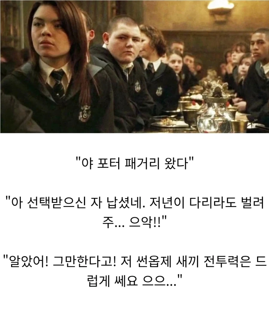 해리포터) "카리나 말포이의 최악의 기억" - 이미지 10
