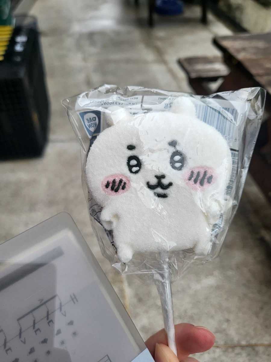 치이카와 마쉬멜로 구워먹기