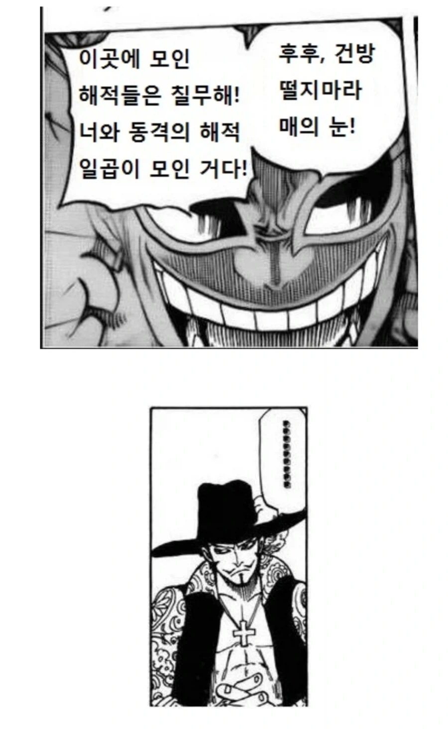 원피스 독자들의 한 때의 착각