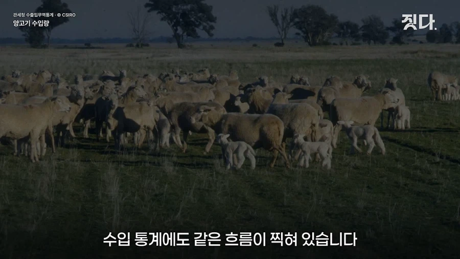 유행어 한방으로 인생역전한 사나이.jpg - 이미지 13