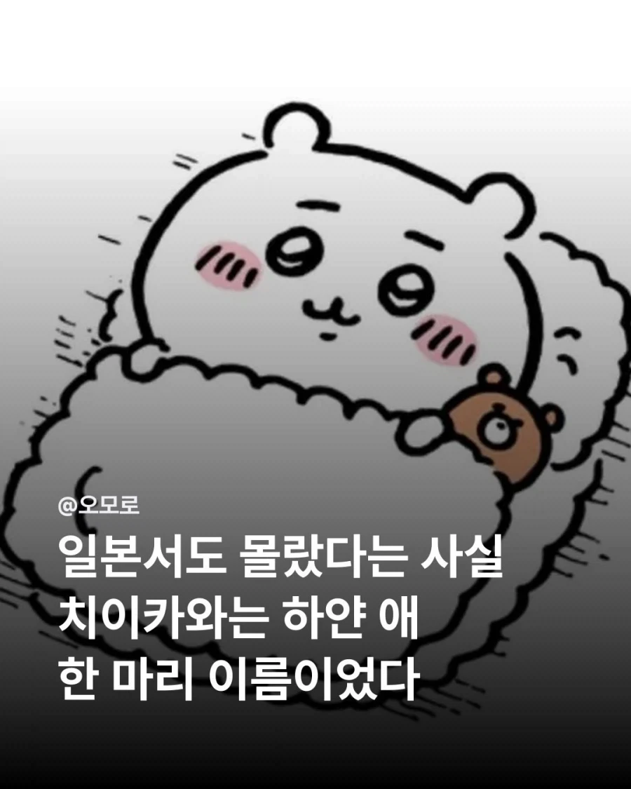 일본에서도 몰랐다는 치이카와에 대한 사실.jpg