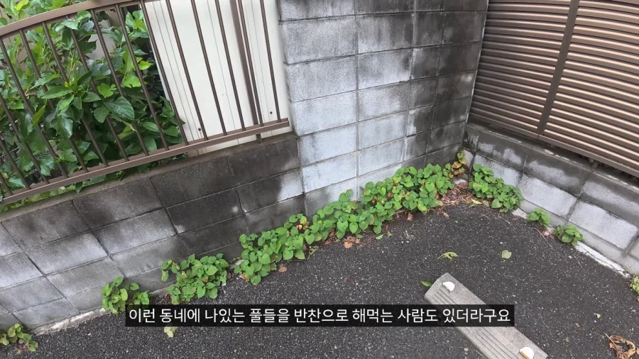 일본에서 용돈 만세 주인공처럼 하루 지내보기.JPG - 이미지 10