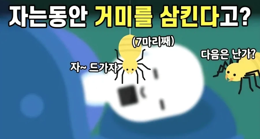사람은 자는중에 몇 마리의 거미를 삼킨다