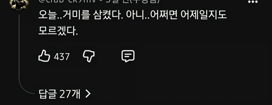 사람은 자는중에 몇 마리의 거미를 삼킨다 - 이미지 2
