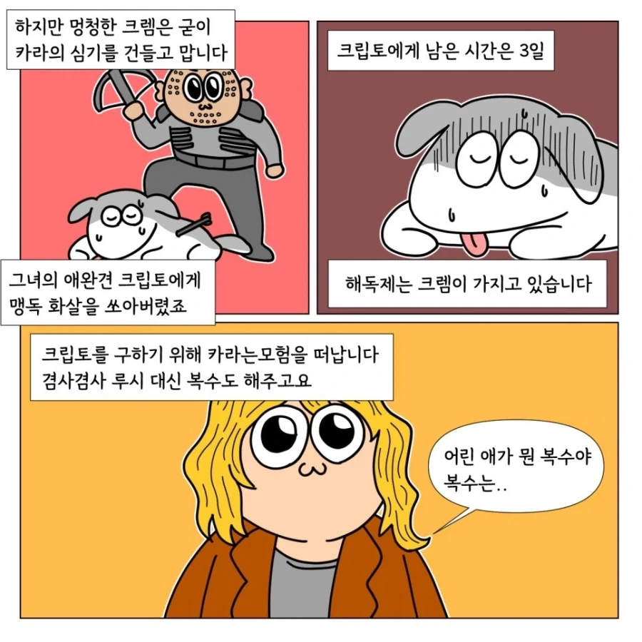 슈퍼걸을 좋아하는 이유 - 이미지 6