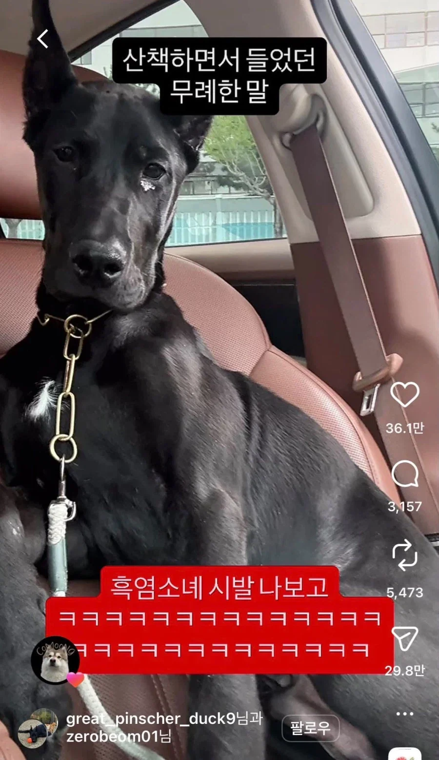 산책하면서 들었던 무례한 말