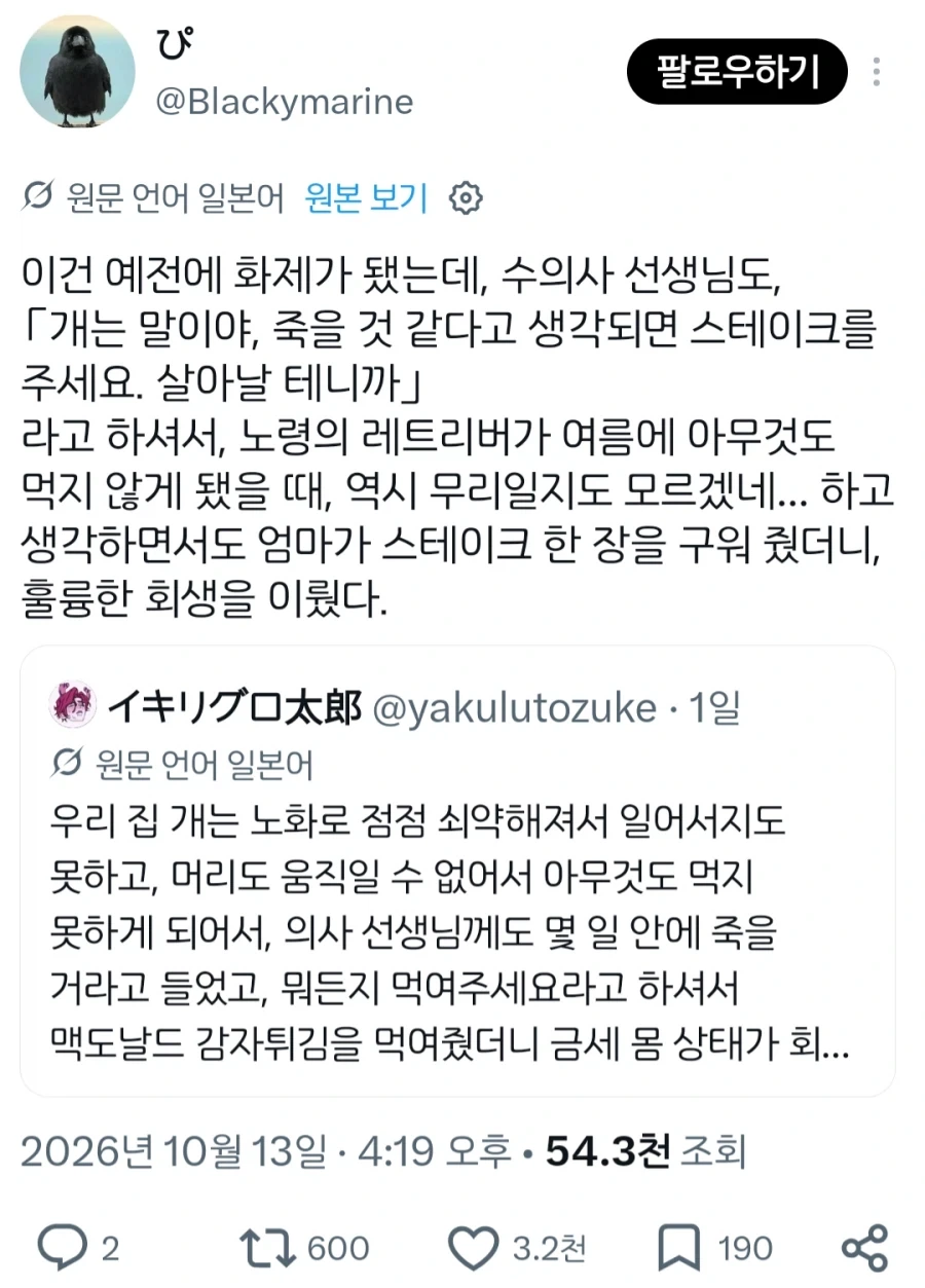 노령의 강아지 부활시키는 법