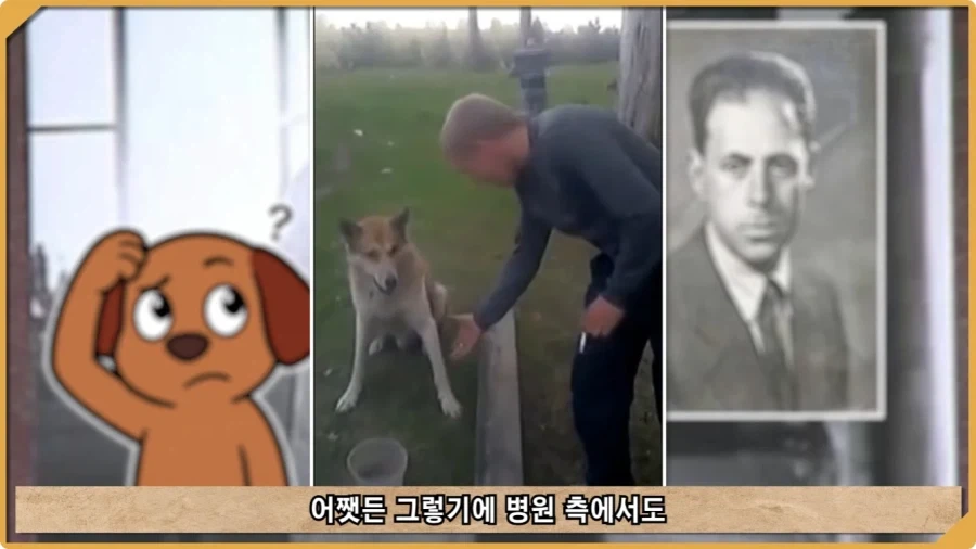 나치 독일도 벌벌 떨게 한 K-증후군.jpg - 이미지 29